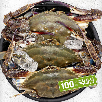 [얼음포장] 가을 활꽃게 1kg (3~5미) 외 7종